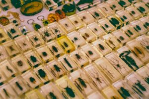 white and yellow floral textile - bugs